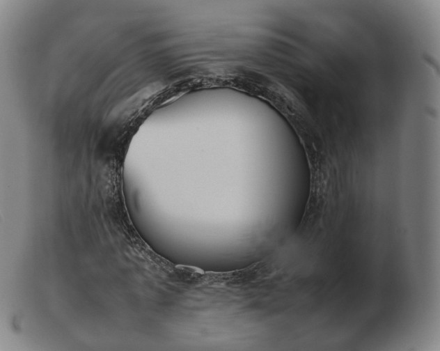 X0000103450773200809191747