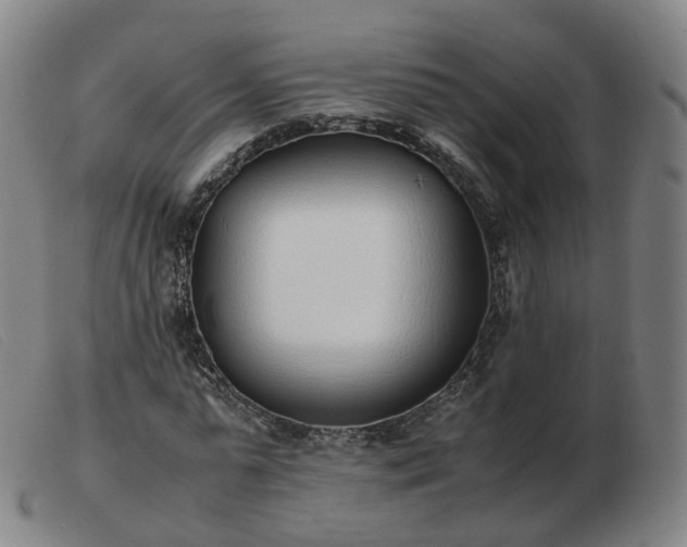 X0000103450775200809191747