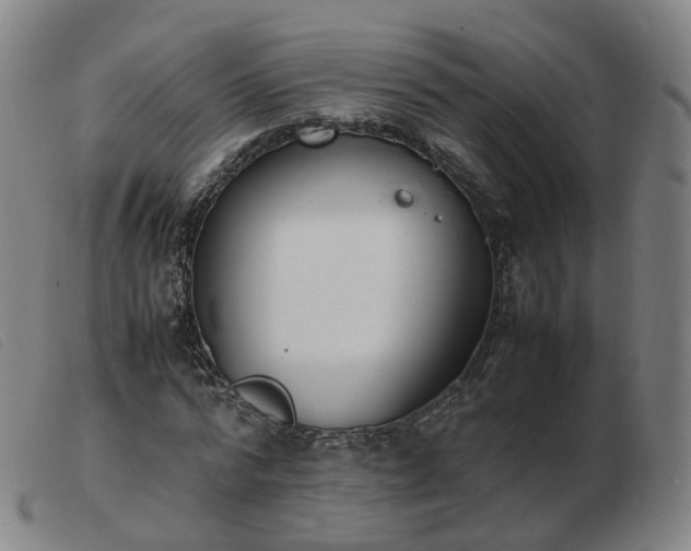 X0000103450776200809191747
