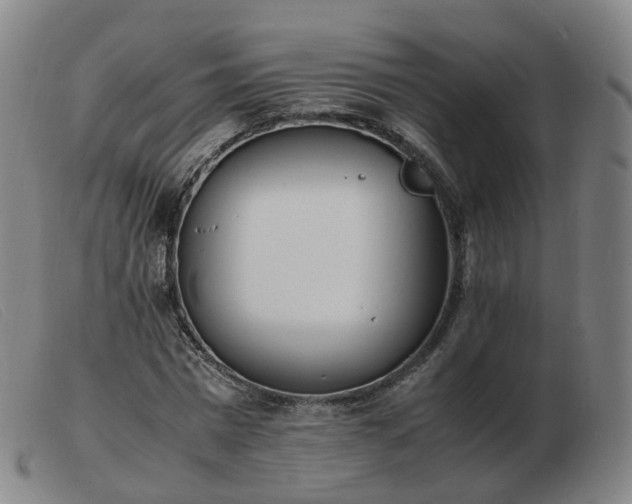 X0000103450777200809191747