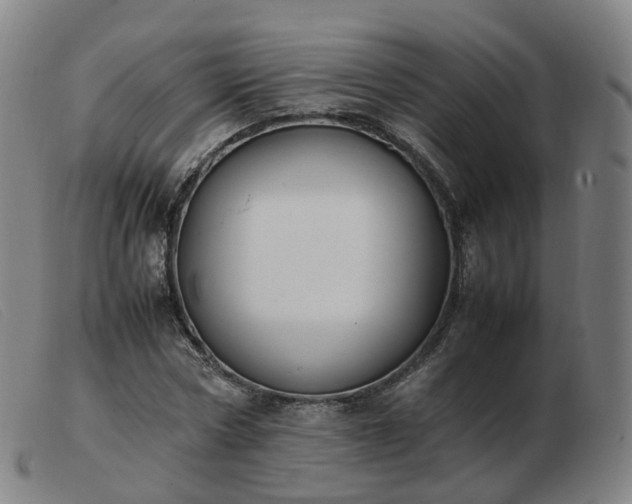 X0000103450778200809191747