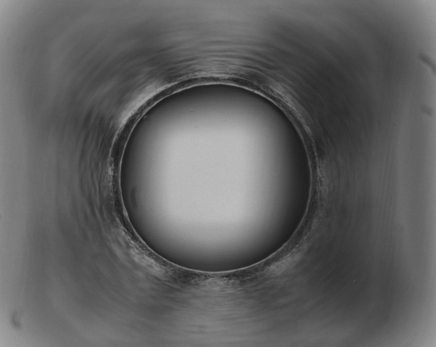 X0000103450779200809191747