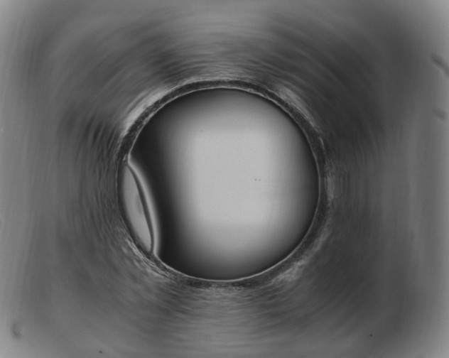 X0000103450781200809191747