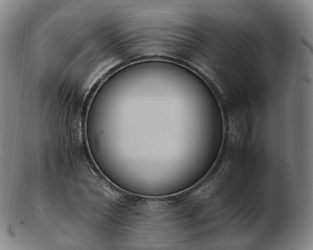 X0000103450782200809191747