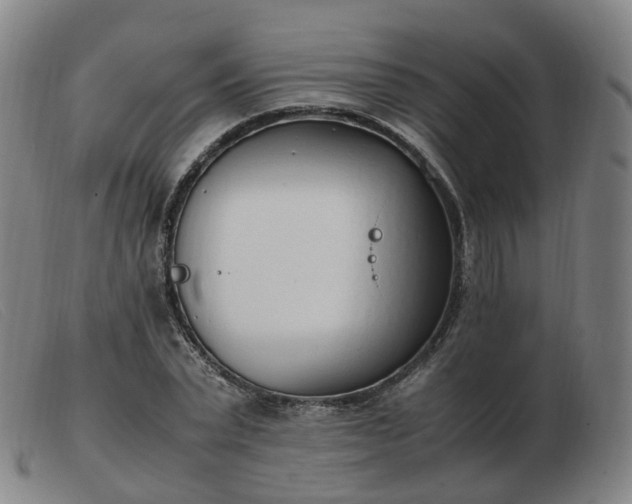 X0000103450783200809191747