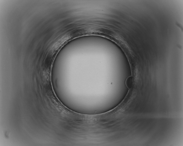 X0000103450785200809191747