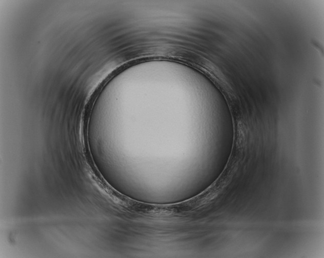 X0000103450788200809191747