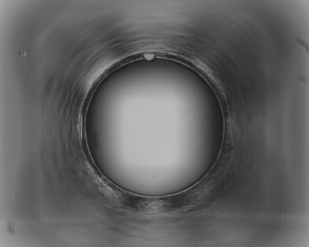 X0000103450791200809191747