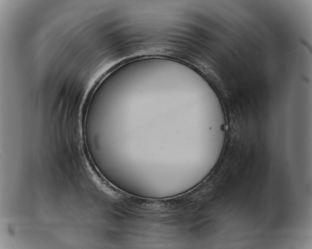 X0000103450792200809191747