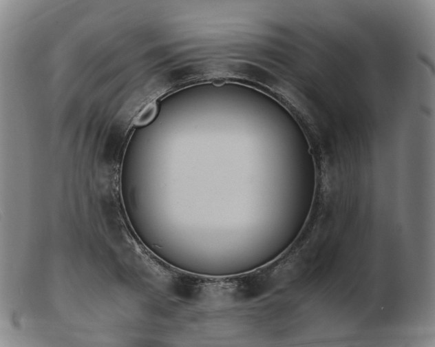 X0000103450793200809191747