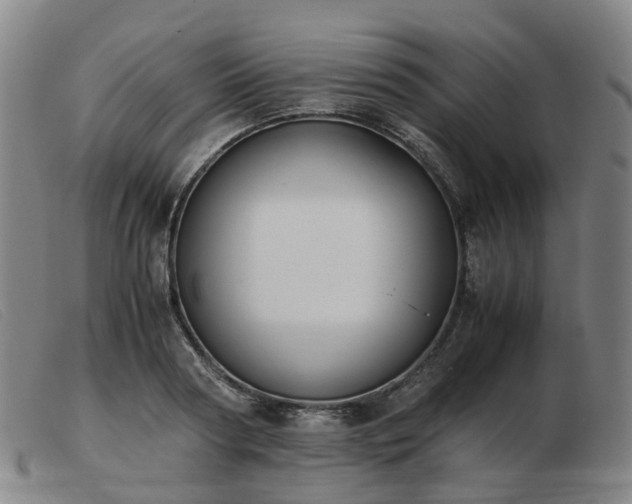 X0000103450794200809191747