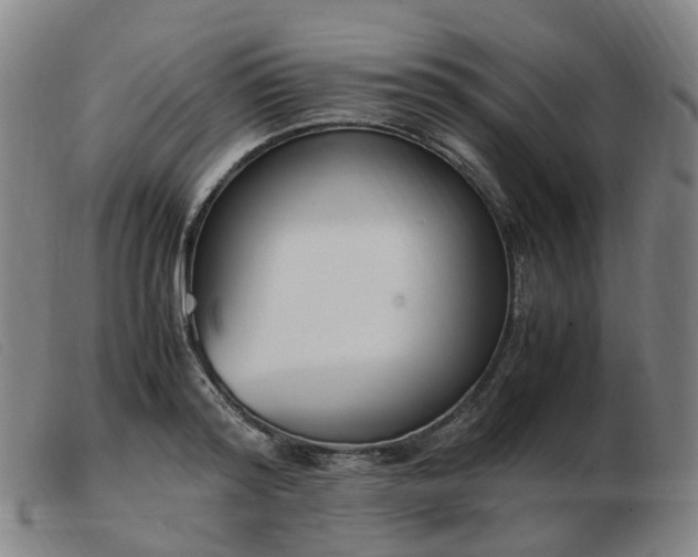 X0000103450796200809191747