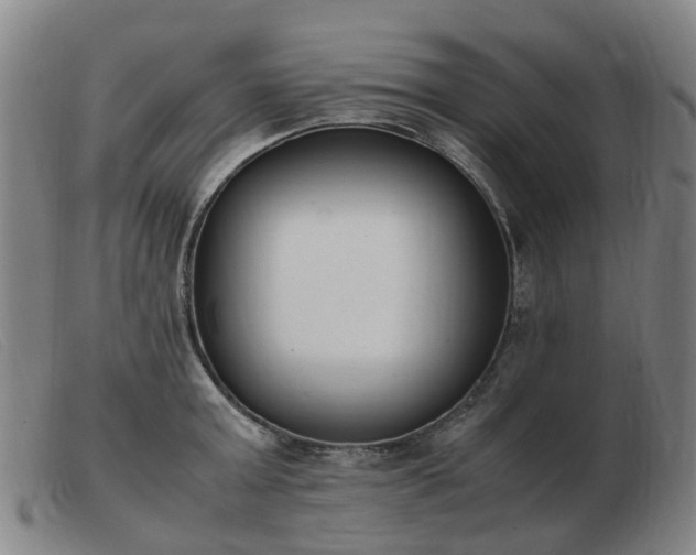 X0000103450803200809191746