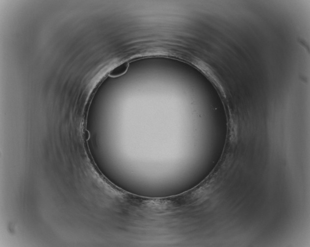 X0000103450805200809191746