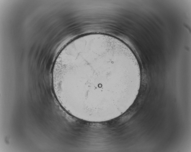 X0000103450807200809191746