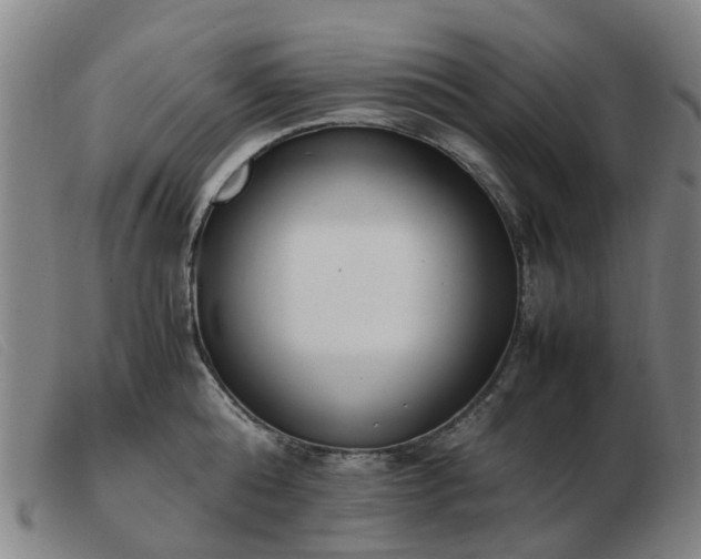 X0000103450808200809191746