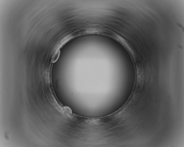 X0000103450810200809191746