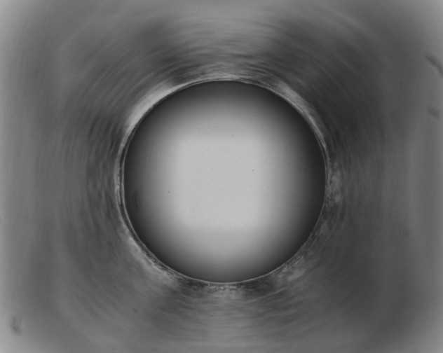 X0000103450811200809191746