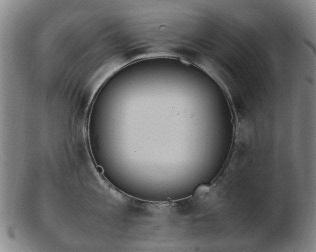 X0000103450813200809191746