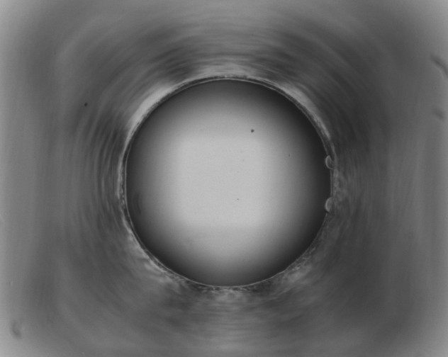 X0000103450815200809191746