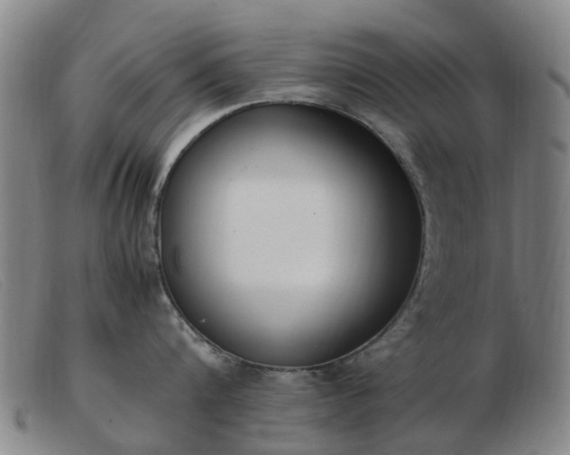 X0000103450816200809191746