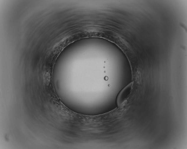 X0000103450821200809191746