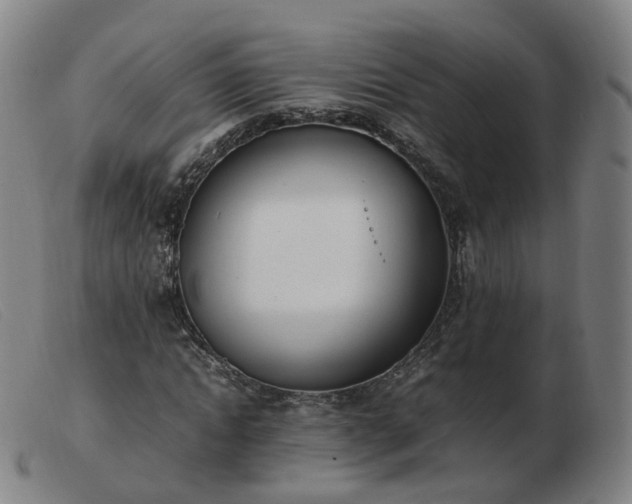 X0000103450822200809191746