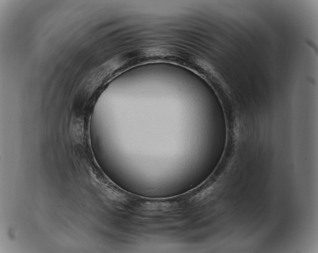 X0000103450825200809191746