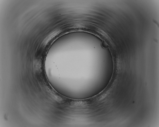 X0000103450826200809191746