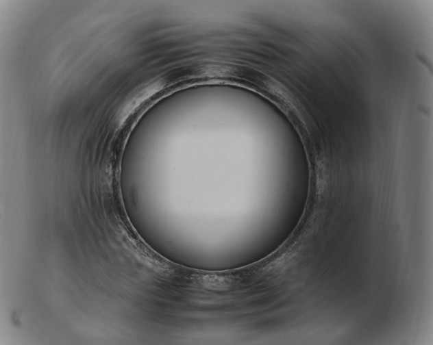 X0000103450827200809191746