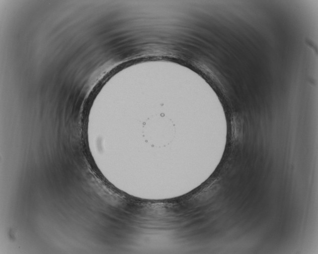 X0000103450828200809191746