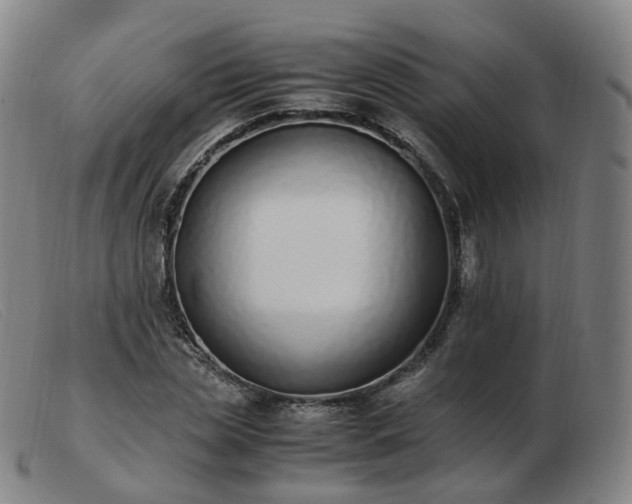 X0000103450829200809191746