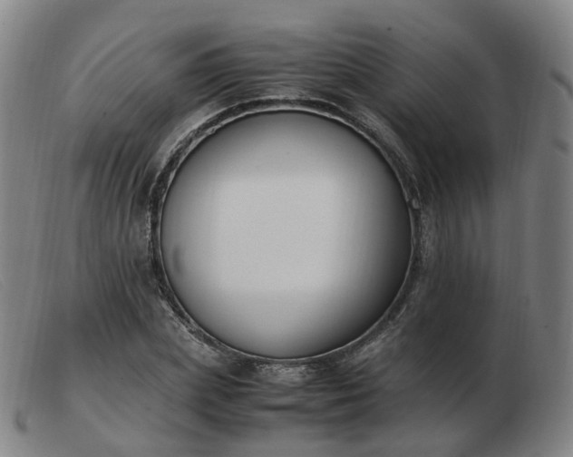 X0000103450831200809191746