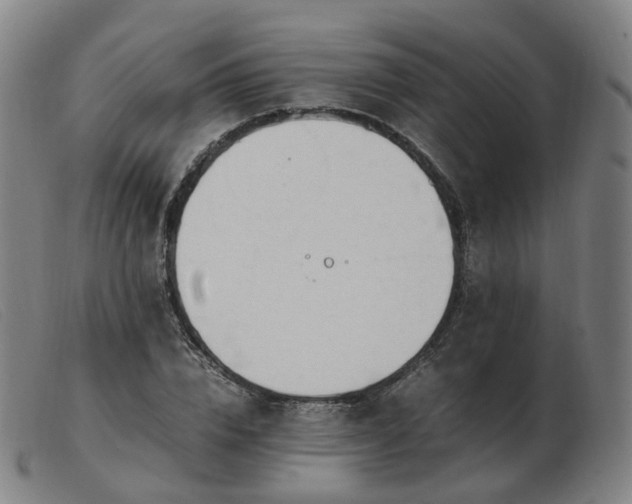 X0000103450832200809191746
