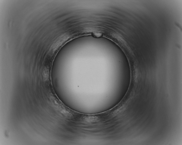 X0000103450833200809191746