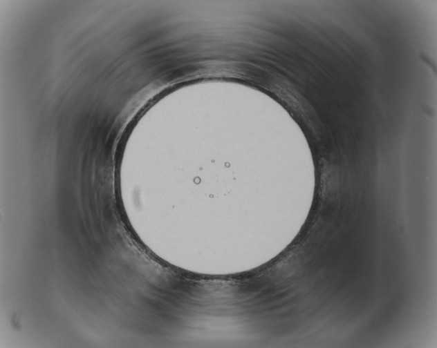 X0000103450836200809191746