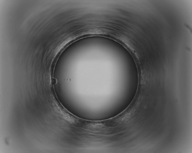 X0000103450837200809191746