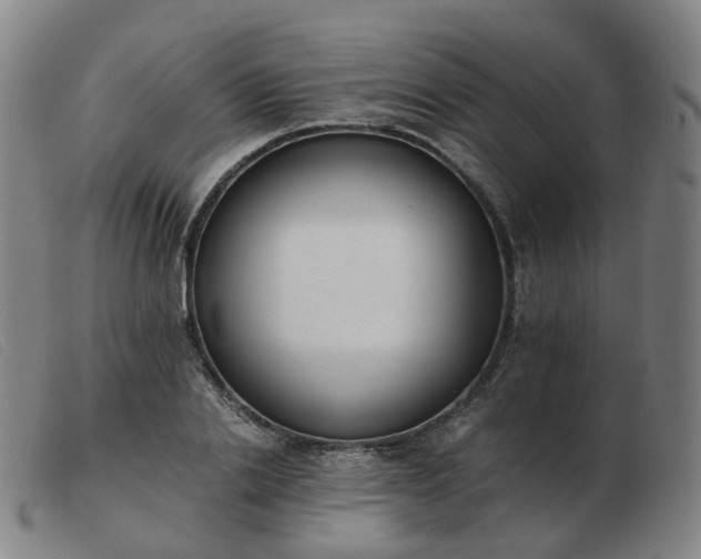 X0000103450838200809191746