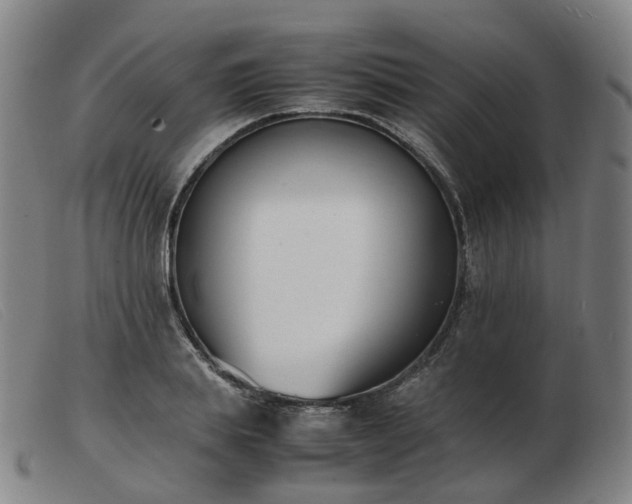 X0000103450839200809191746