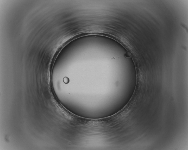X0000103450840200809191746