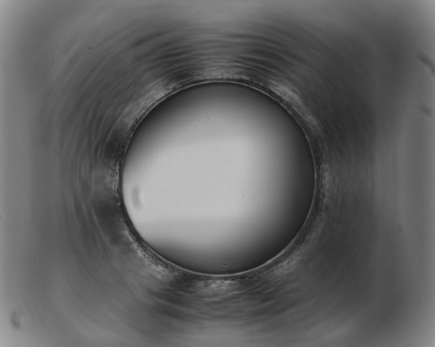 X0000103450841200809191746