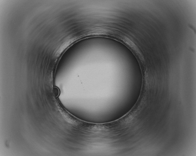 X0000103450842200809191746
