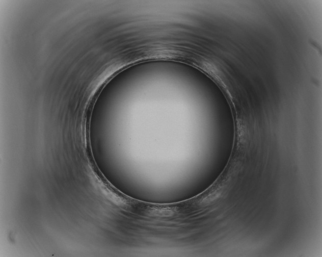 X0000103450843200809191746