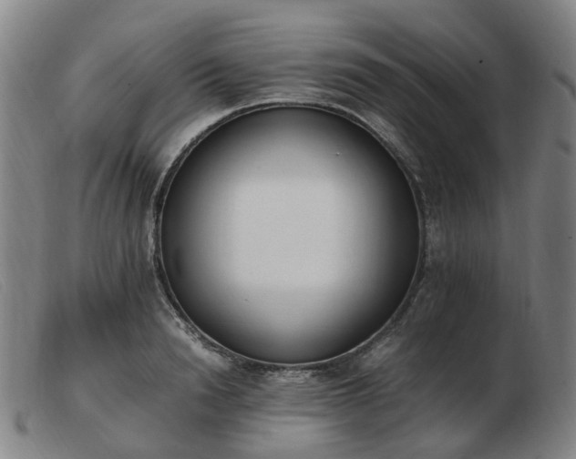 X0000103450846200809191746