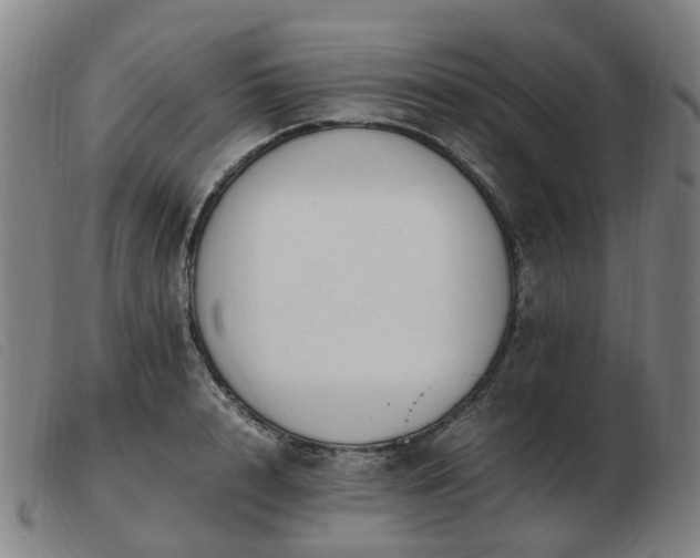 X0000103450848200809191746