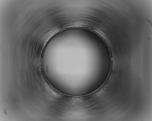 X0000103450850200809191746