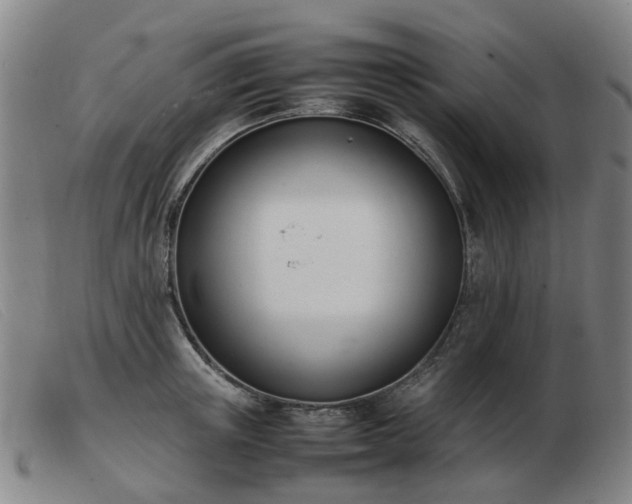 X0000103450851200809191746