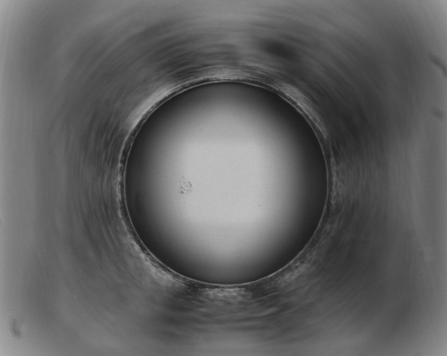 X0000103450853200809191746