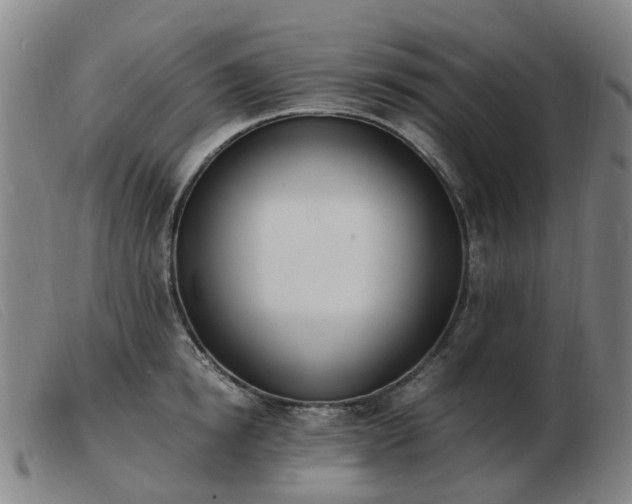 X0000103450854200809191746