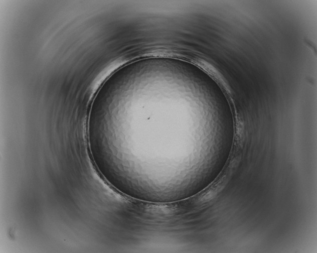 X0000103450855200809191746